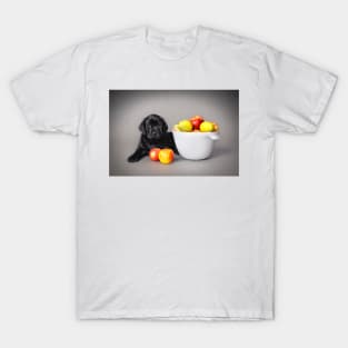 Labrador retriever puppy T-Shirt